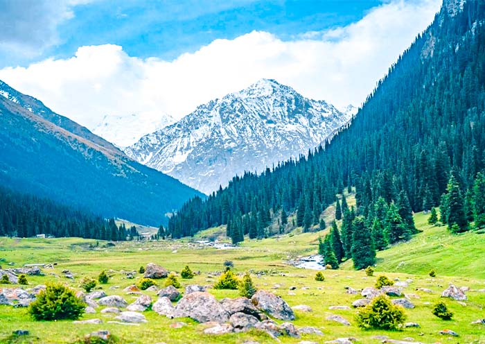 阿拉阿查國家公園 阿拉阿查國家公園