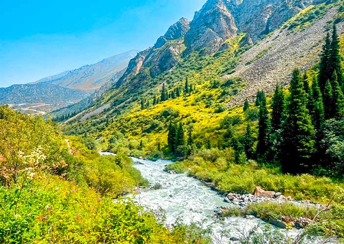 阿拉阿查國家公園 阿拉阿查國家公園