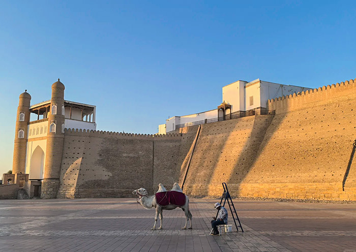 布哈拉城堡 布哈拉城堡