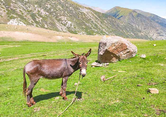 格裡戈裡耶夫峽谷 格裡戈裡耶夫峽谷