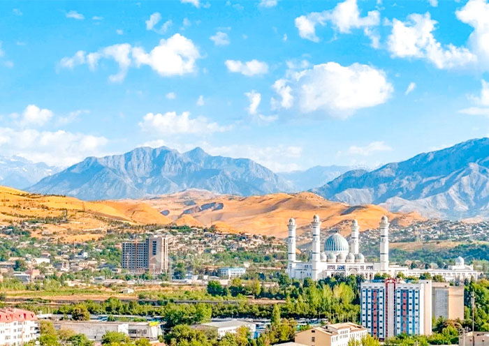 杜桑貝中央清真寺 杜桑貝中央清真寺