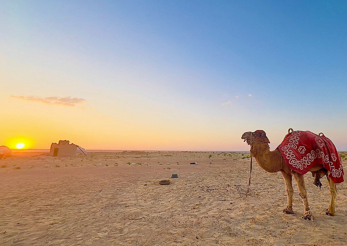 克孜勒庫姆沙漠 克孜勒庫姆沙漠