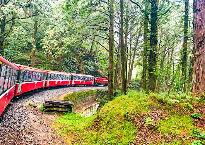 阿里山森林小火车 阿里山森林小火车