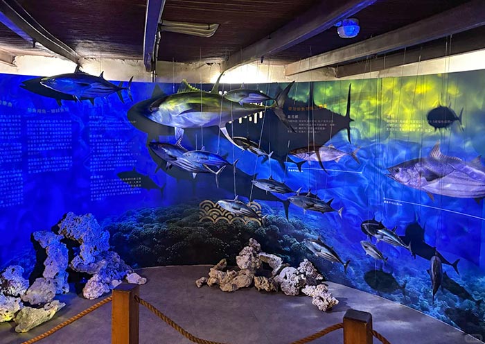 七星潭柴鱼博物馆 七星潭柴鱼博物馆