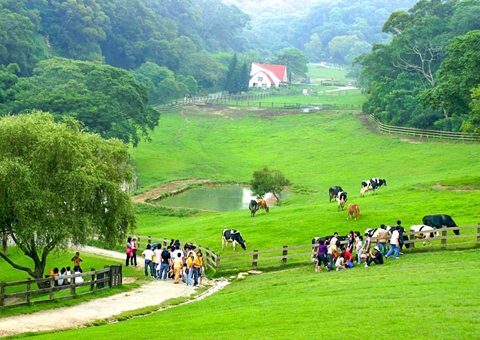 【亲子·田园逸趣】台湾飞牛牧场+日月潭+清境农场+九份+礁溪5天4晚家庭游(牧场萌宠互动+日月潭游船+山景温泉)
